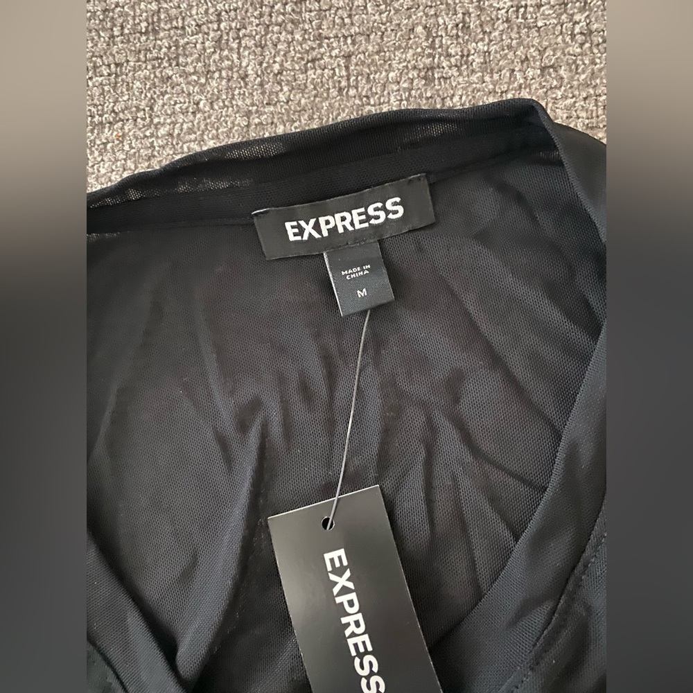 NWT Express Sheer Long Sleeve Top